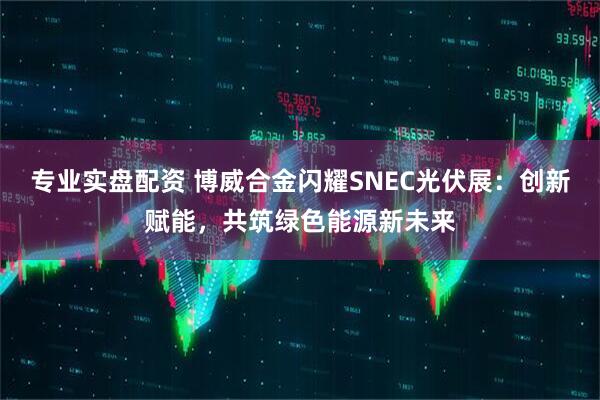 专业实盘配资 博威合金闪耀SNEC光伏展：创新赋能，共筑绿色能源新未来
